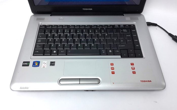 Toshiba_Satellite_L450d_2