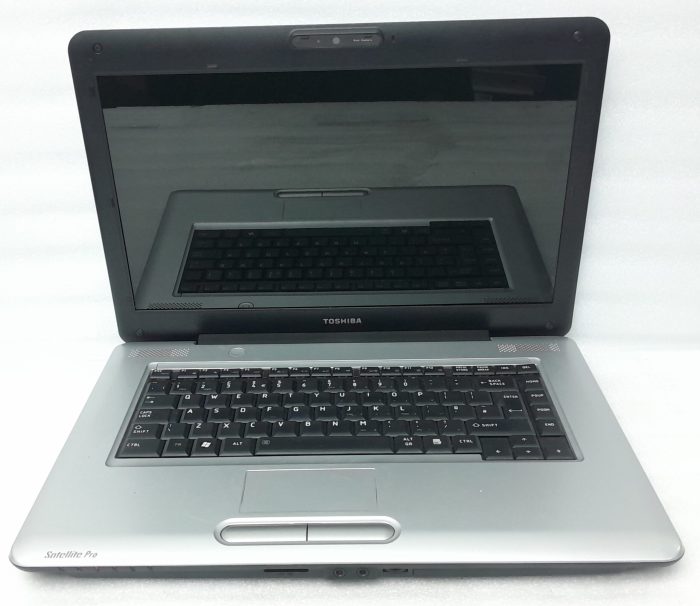 Toshiba_Satellite_Pro_L450-13r_2