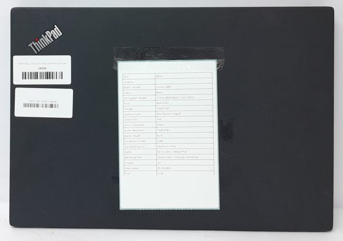 Lenovo_T495_6