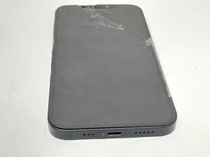 Apple 12