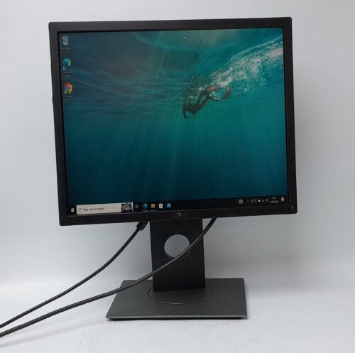Dell_P1917s_1