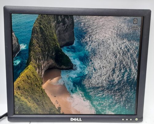 Dell_1703fp_1