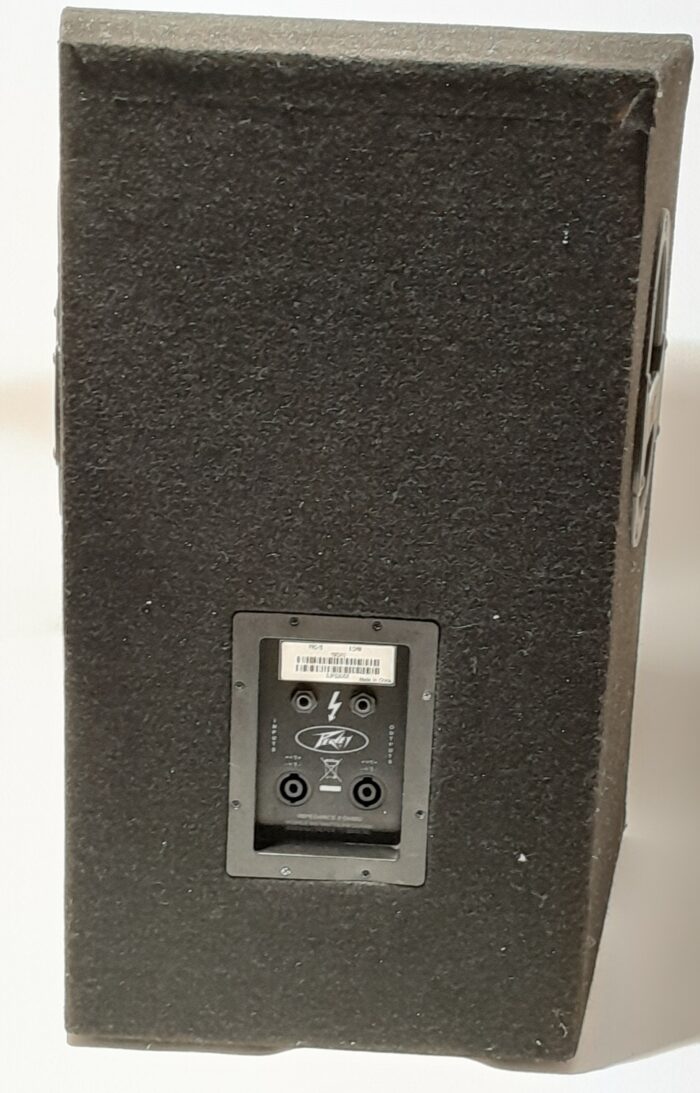 Peavey Pro-15